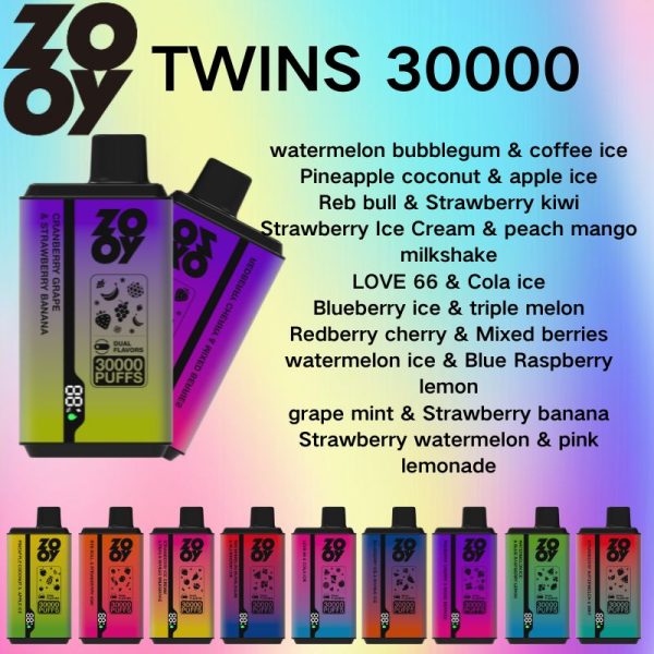30000 Puffs Zooy twins Dual Flavors Disposable Vape 10 Fruit Flavors E-Liquid Geek Dual Mesh Coil OEM Wholesale I Vape Disposable Vape