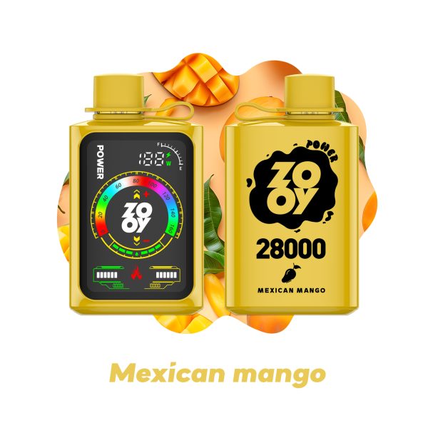 ZOOY POWER 28000-EU WAREHOUSE - Image 11