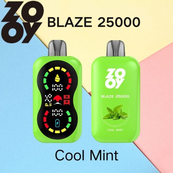 ZOOY BLAZE 25000 - Image 7