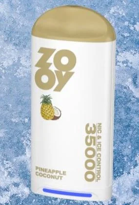 electronic cigarette disposable4