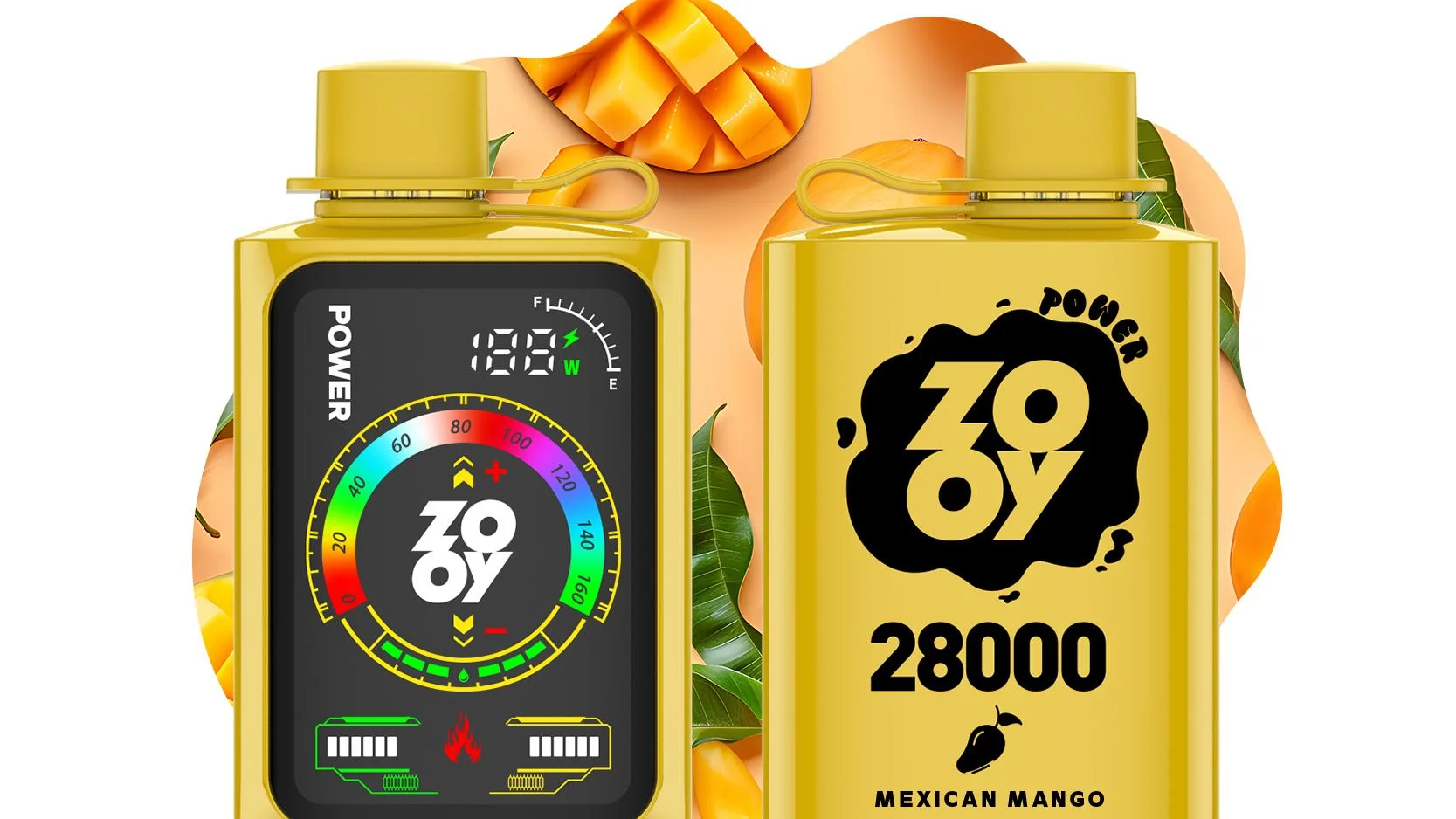 Electronic Cigarettes